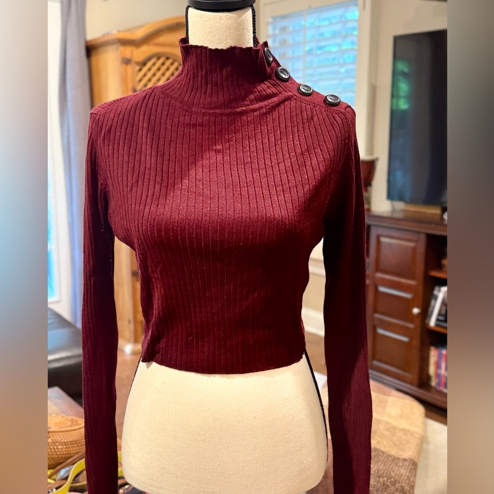 Zara Maroon Ribbed Knit Top
